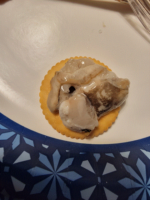 Oyster on Ritz.gif Oyster on Ritz.gif